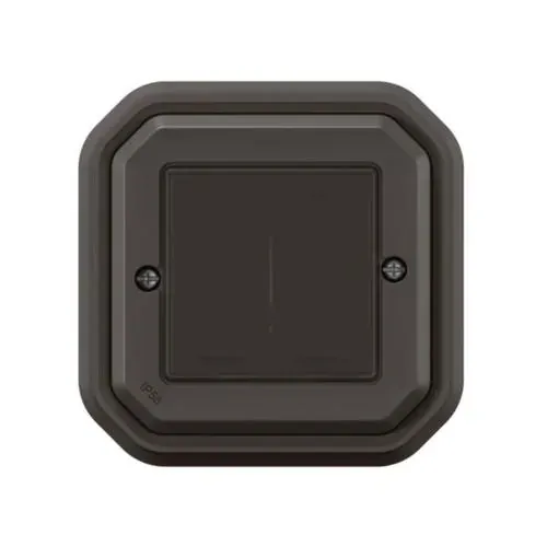 Double commande sans fil IP55 (Self‑E) encastrée (gamme Plexo with Netatmo)