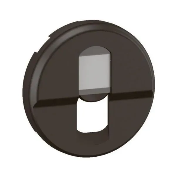 Enjoliveur prise RJ45 blindée graphite (gamme Céliane)