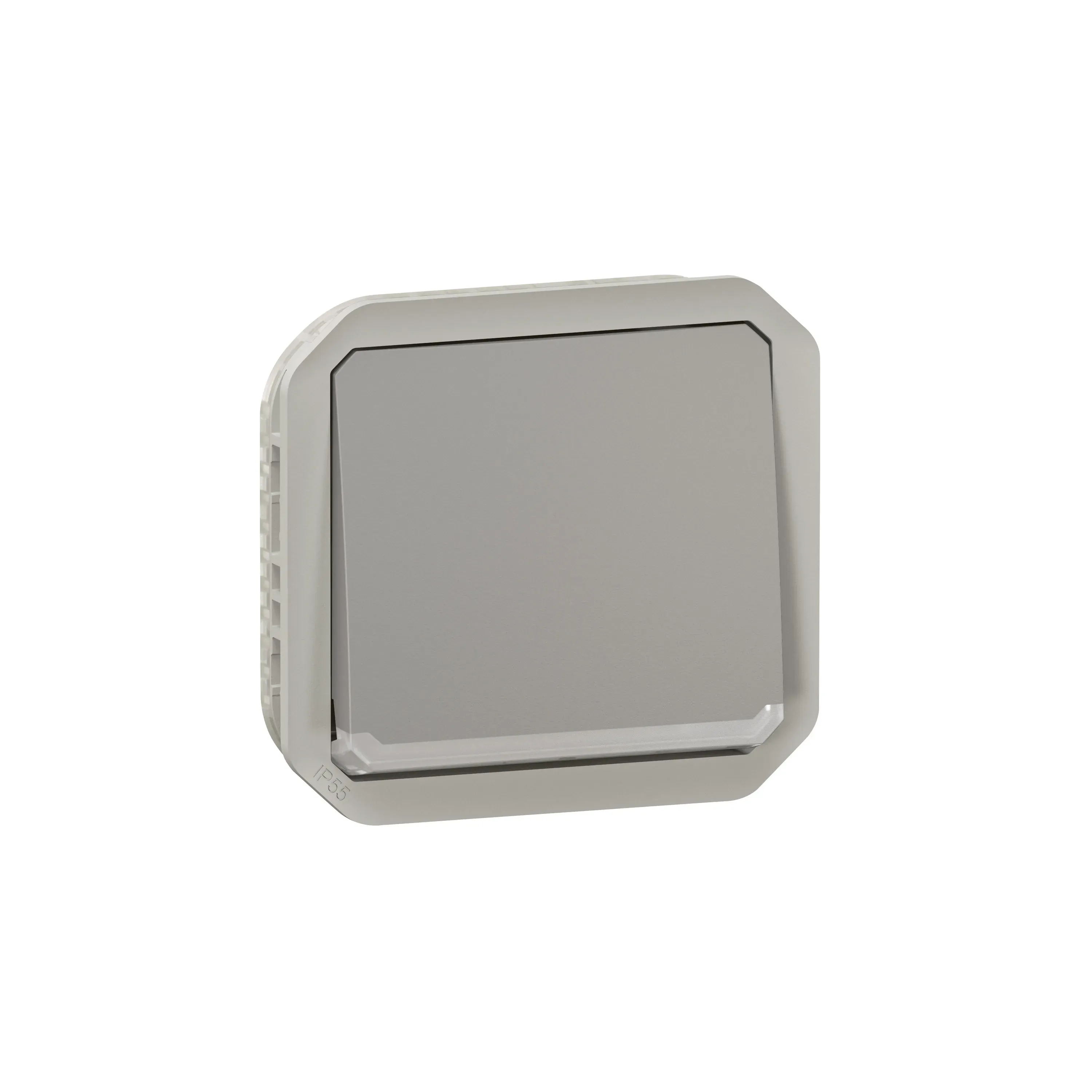 Interrupteur ou va-et-vient lumineux étanche Plexo 10AX IP55 gris