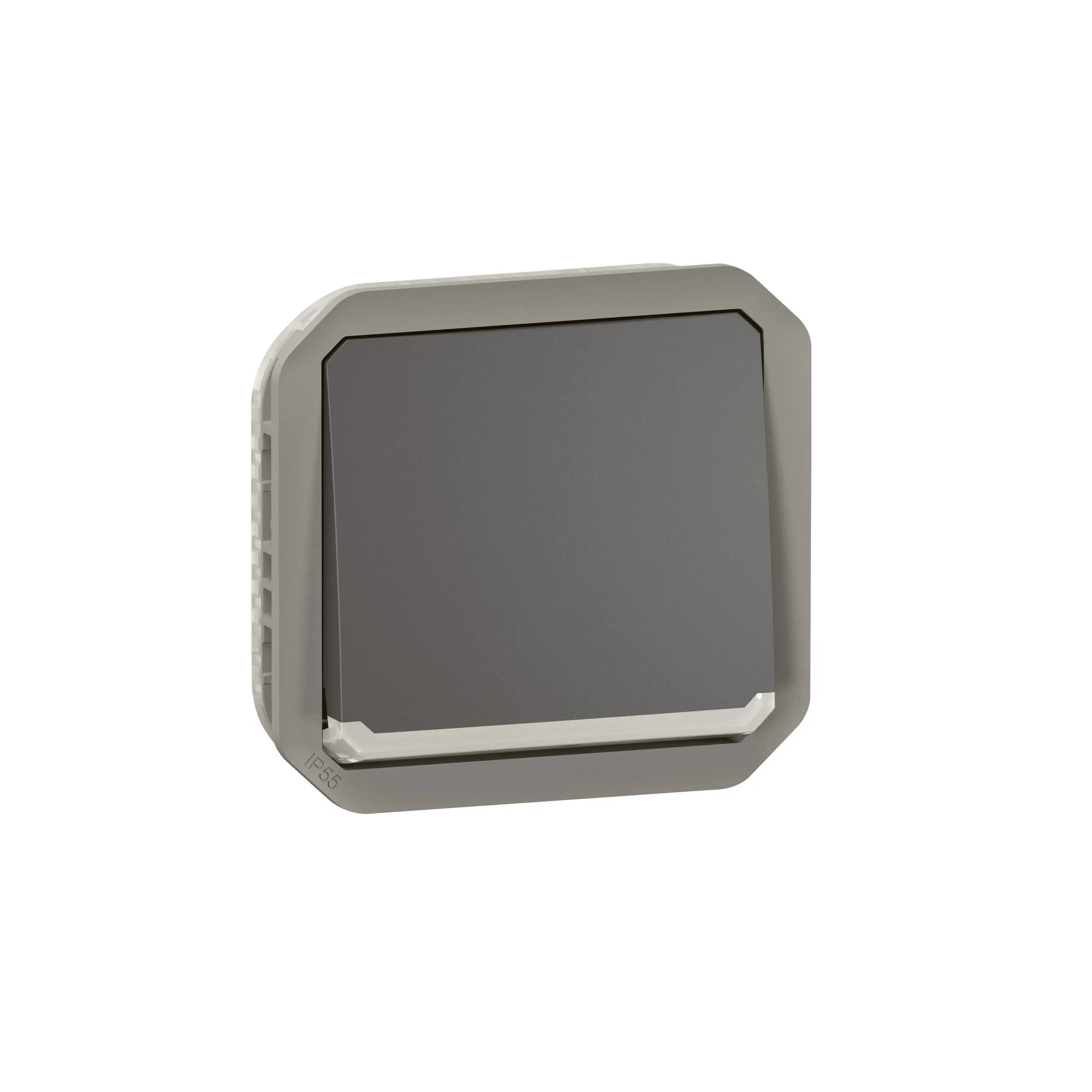 Interrupteur ou va-et-vient lumineux étanche Plexo 10AX 250V IP55 IK08 anthracite